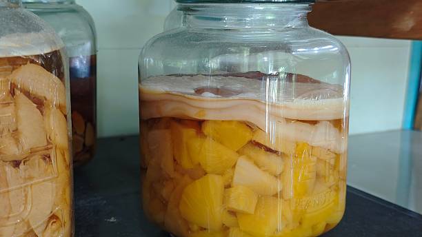 istock Kombucha Scoby in a glass jar. Fermented drink. 2249296739