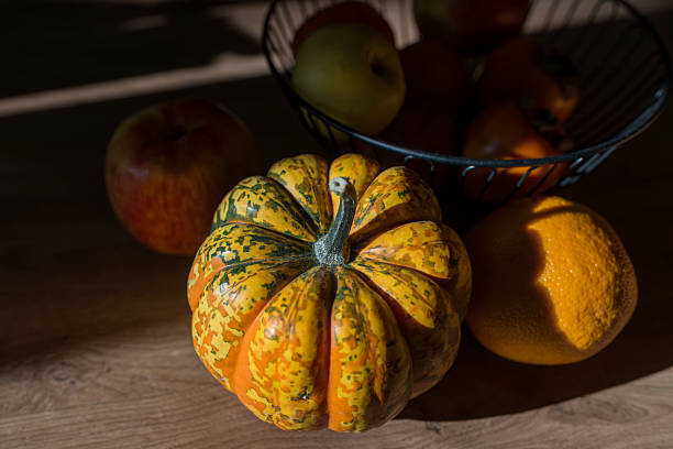 Green, spotty pumpkin with dry tail against blurred, light background. Close up of shaped, ripe pumpkin, with sunlight reflection on hard skin at sunny autumn day. Harvesting, vegetables concept.