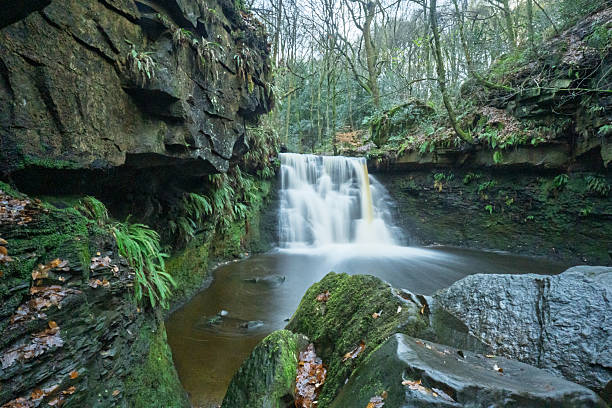 istock A long exposure of a forest waterfall in autumn 2249312444