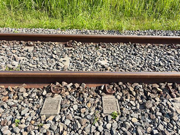 Train tracks with concrete sleepers, showing the year 2015 and 2018 imprinted on them, surrounded by ballast and lush grass.
