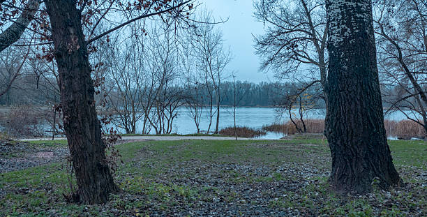 istock Park landscape with trees framing a somber autumn river 2249313547