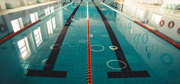 Empty Indoor swimming pool with swim lanes.