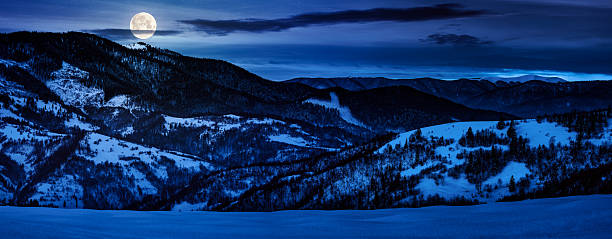 istock panorama with snowy forested hills in winter at night 2249317695
