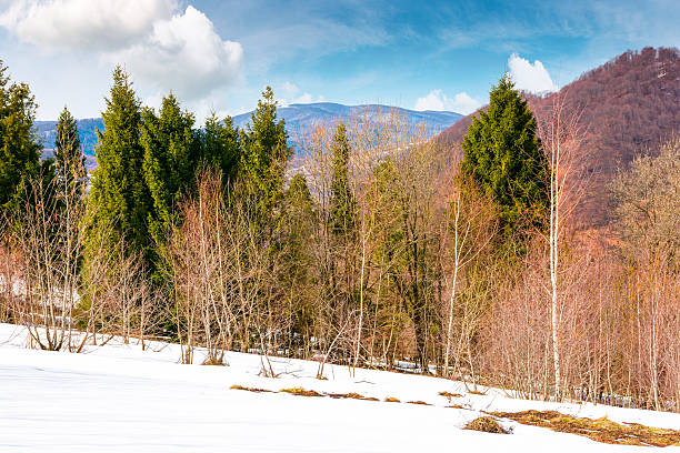 istock mountain landscape with mixed forest on snow covered slope 2249317727