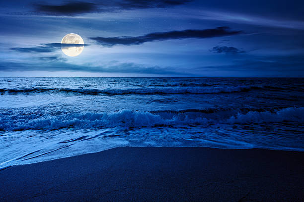 istock sand beach at the sea for summer vacation concept 2249317882