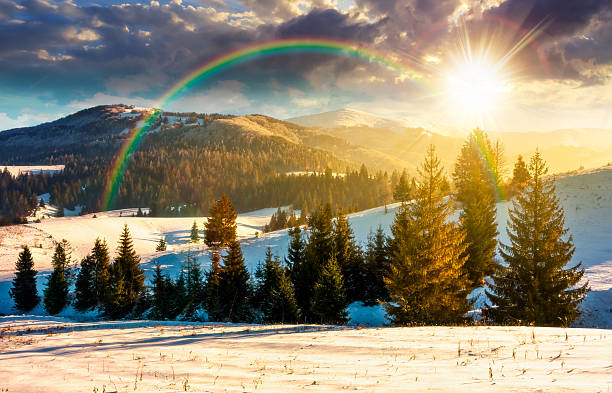 istock fir trees on snowy hillsides at sunset 2249317979