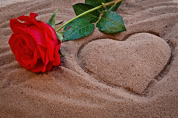 A red rose symbolising love on a sandy beach with a heart drawn in the sand