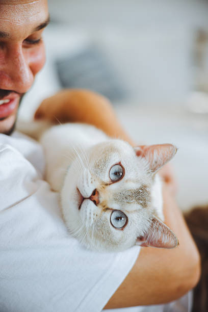 istock Overcoming mental health issues with pets 2249319711