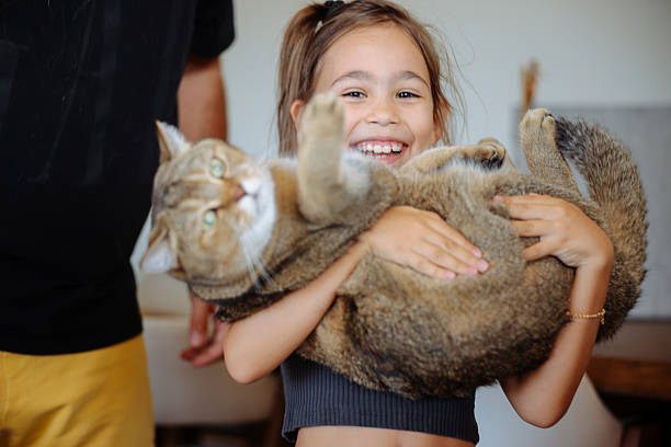 istock Little Girl holding cat indoors 2249320332