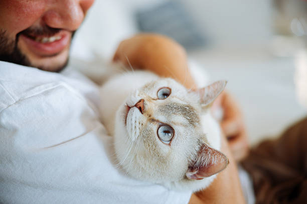 istock Overcoming mental health issues with pets 2249320357