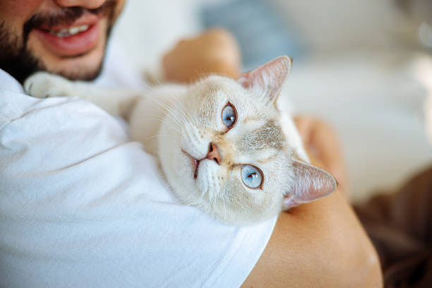istock Overcoming mental health issues with pets 2249320377