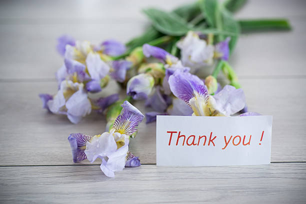 istock Iris flowers with lilac petals with gratitude 2249320497