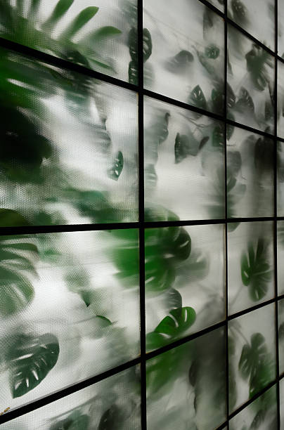 istock A grid of translucent glass panels softly diffuses light and shadow, revealing abstract monstera leaves. Leaf background. 2249321580