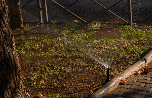 istock Irrigation System Watering Area Near Tree 2249322673
