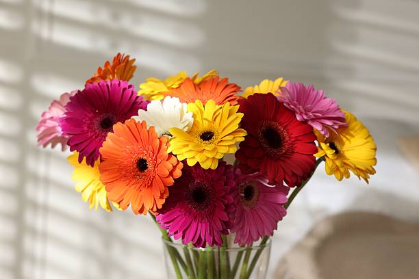 istock Bouquet of beautiful gerbera flowers at home, closeup 2249329310