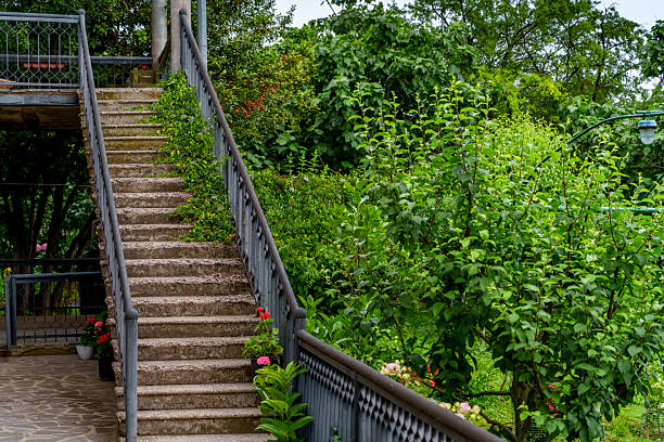 Outdoor concrete stairs with potted flowers climb alongside metal railing overlooking dense leafy garden