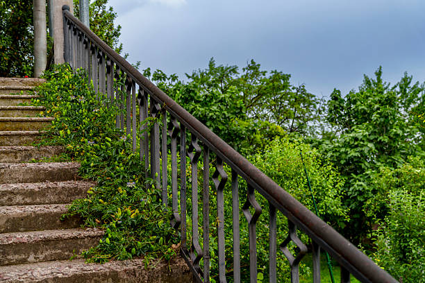 Weathered outdoor steps and decorative metal handrail border overgrown greenery under cloudy blue sky