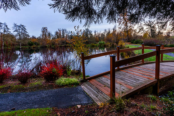 istock Wooden bridge over the stream 2249335805