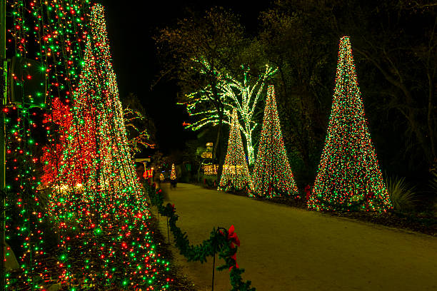 istock Christmas trees illuminated in dusk stand along the foot pass 2249335809