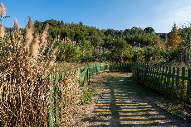A serene pathway bordered by green fences, surrounded by lush vegetation under a clear blue sky. The scene exudes tranquility and is ideal for peaceful walks or relaxation.