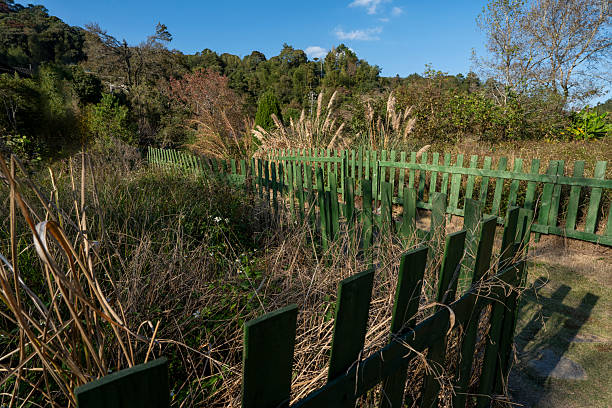 A serene pathway bordered by green fences, surrounded by lush vegetation under a clear blue sky. The scene exudes tranquility and is ideal for peaceful walks or relaxation.