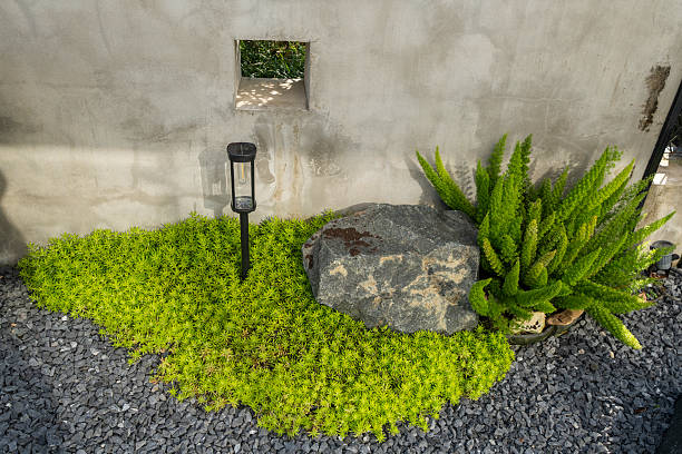 In a wellkept park, a prominent stone sits in a mulchcovered area, creating a peaceful spot for visitors to relax and enjoy the calming nature surrounded by lush greenery and vibrant colors