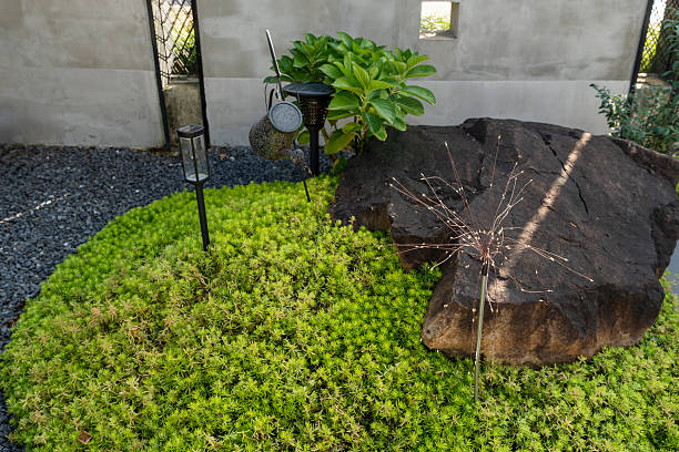 istock Rock Garden with Greenery and Solar Light 2249338394