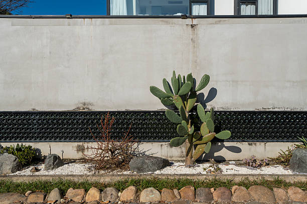 A serene rock garden featuring lush green plants, a large dark rock, and a solar-powered light fixture. The setting exudes tranquility and is ideal for relaxation or as a decorative element in a backyard.