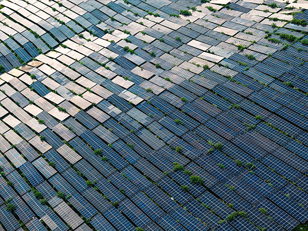 istock Solar panels with green grass growing in gaps under sunlight. 2249339332