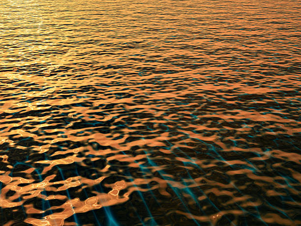Warm golden tones reflecting off smooth sea surface at sunset