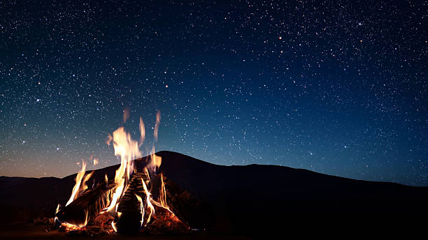 Burning fire on a black background with space for text