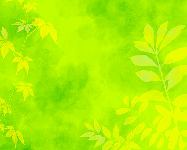 istock Green Watercolor Background of Spring and Summer Leaves - Copy Space 2249353439