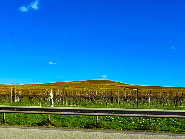 The photograph was taken from a moving car, as indicated by the metal guardrail in the foreground. The landscape shows the transition from summer to autumn: in the background, a wall of forest rises, painted in bright yellow and orange autumn tones, and in the center, a lush, bright green slope is visible, possibly a field or meadow. Above all this splendor stretches a deep blue sky with white, cumulus clouds. Yellow wildflowers are visible along the road, behind the barrier, enhancing the feeling of autumn and motion