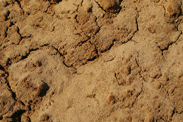 Soil texture closeup. Brown ground surface. Earth dirt texture background of brown mud