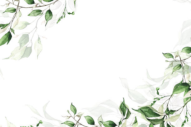 istock Watercolor painted greenery border frame template. Sage green, beige, blue branches and leaves. Garland arrangement art 2249355908