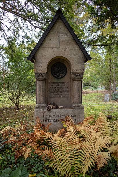 Historic stone monument surrounded by lush greenery and ferns in a serene park setting.