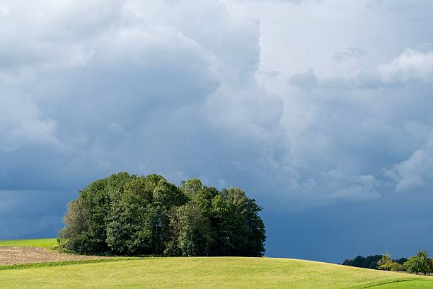 A scenic view of a lush green field with trees under a dramatic cloudy sky.