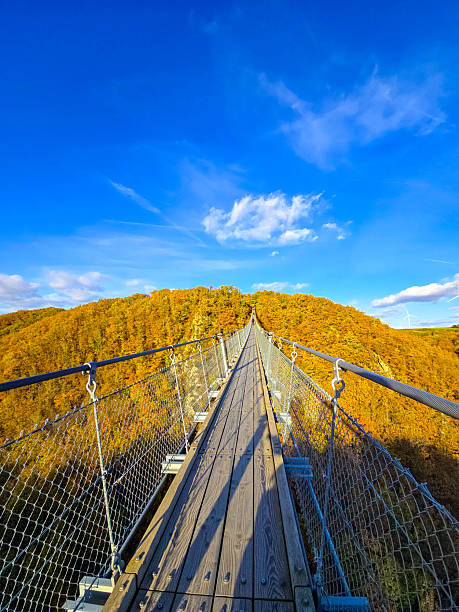 istock Autumn Sunset over the Suspension Bridge 2249358393