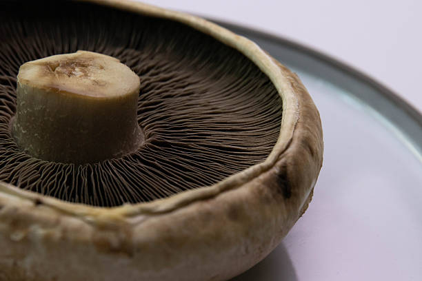 istock Close up Organic Portobello mushroom 2249359981