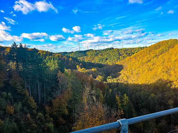 istock Autumn Canyon in Golden Tones 2249360510