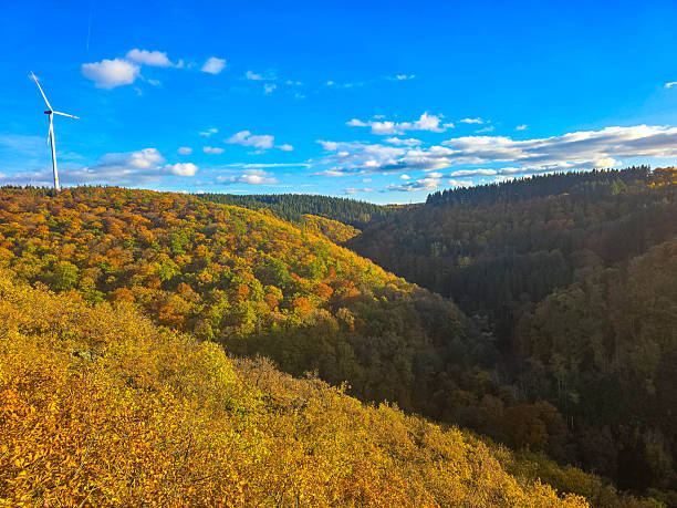 istock Autumn Canyon in Golden Tones 2249368867