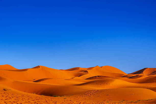 Sweeping orange sand dunes stretch across a flat desert with a clear blue sky above. A tranquil, sunlit Sahara landscape evokes vastness, solitude, and timeless wilderness of Morocco.
