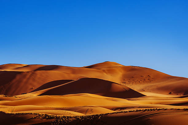 Distinct Sahara desert dunes stretch across a sunlit landscape, showcasing warm golden sand against a vivid blue sky. A serene, expansive scene perfect for travel, nature, and desert exploration themes.