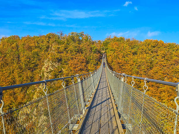 istock Autumn Sunset over the Suspension Bridge 2249369738