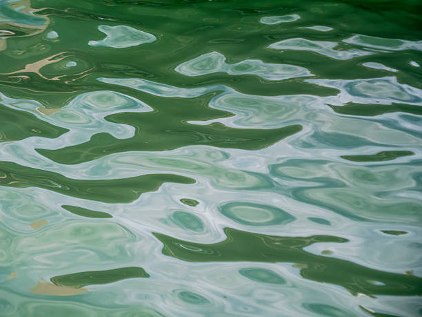 istock The water surface of Venice's canals makes for beautiful water wallpapers. 2249369964