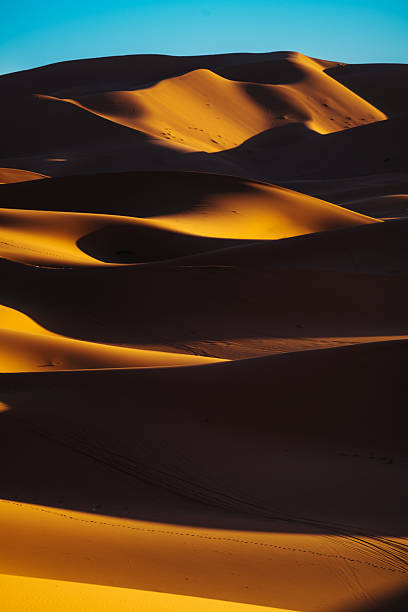 istock Golden Dunes Under Blue Sky in Sahara 2249377536