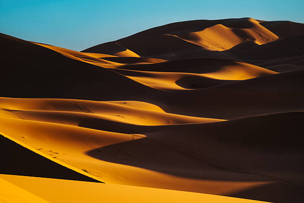 istock Golden Dunes At Sunset In Sahara Desert Morocco 2249377557