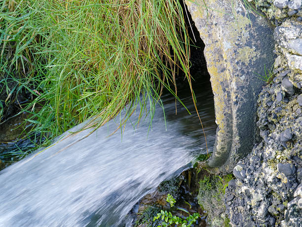 Water rushes from a concrete drainage pipe into a small stream. Green grass hangs over the pipe