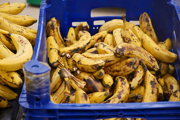 istock Fresh ripe bananas in a blue crate at a market 2249378900