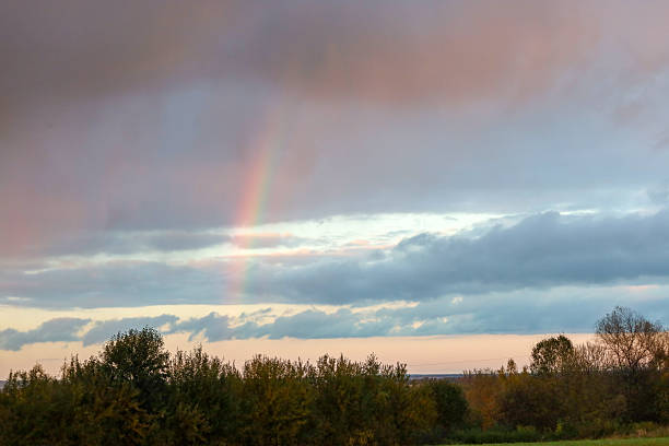 A partial rainbow breaks through layered clouds in the evening sky, illuminating it with pale pink and orange hues. Below, the saturated greenery of a forest and bushes creates a harmonious natural landscape at the boundary of day and night.